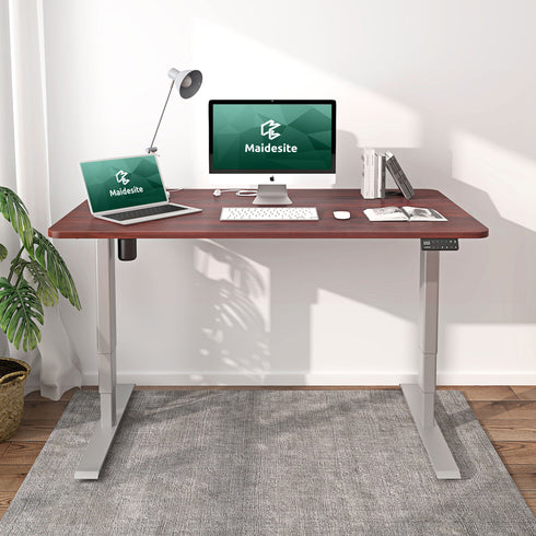 Maidesite Standard Series 55 inch Adjustable Electric Standing Desk Elite Edition